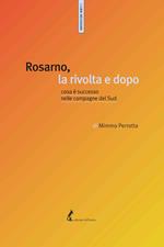 Rosarno, la rivolta e dopo. Cosa è successo nelle campagne del Sud