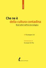 Che ne è della cultura contadina. Resti attivi nell'era tecnologica