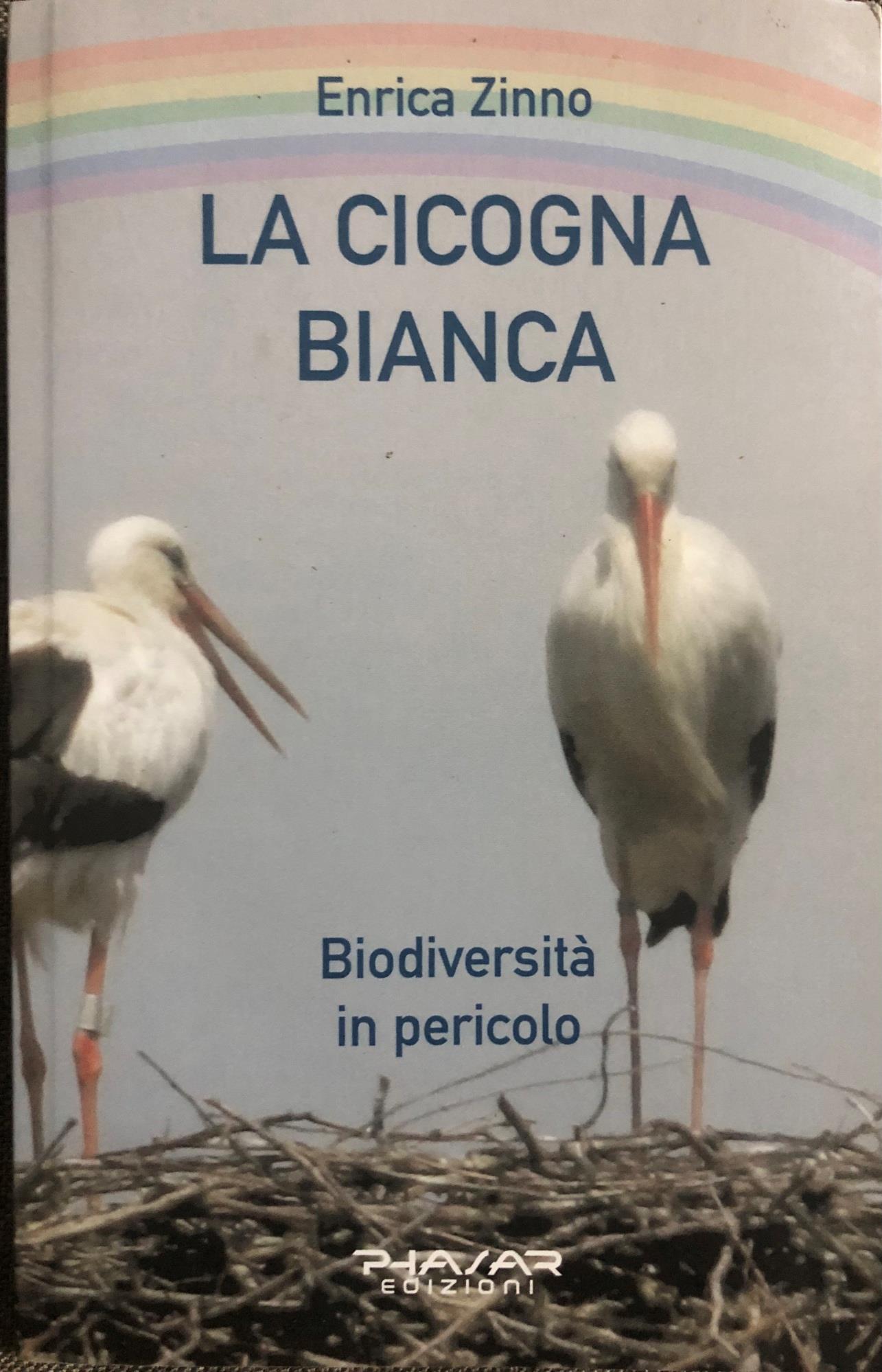 Librisaggi