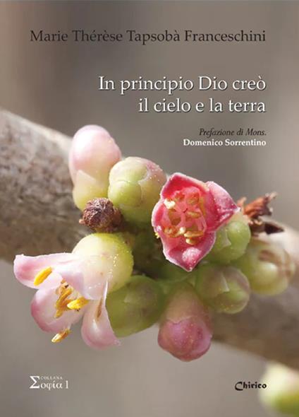 In principio Dio creò il cielo e la terra - Marie Thérèse Tapsobà Franceschini - copertina