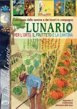 Libraccio