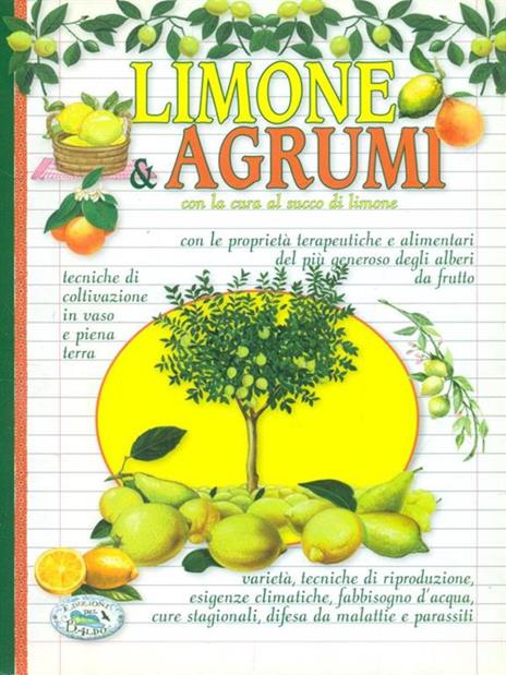 Limone & agrumi - Stefano Savi,Ulrike Raiser - copertina