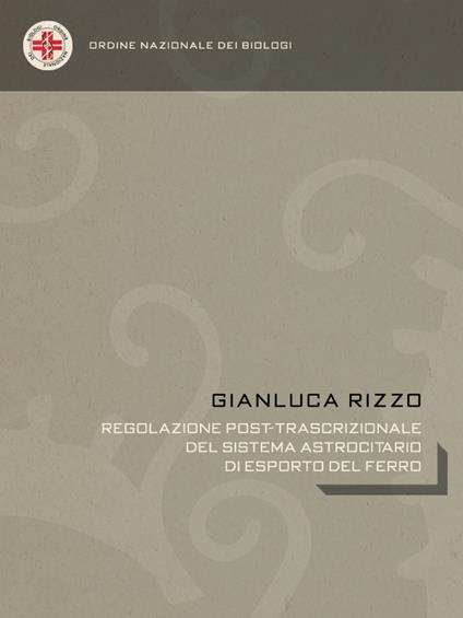 Regolazione post-trascrizionale del sistema astrocitario di esporto del ferro - Gianluca Rizzo - ebook