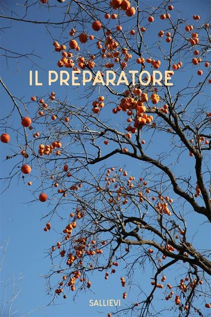 Il preparatore - Sallievi - ebook