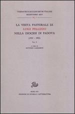 La visita pastorale di Luigi Pellizzo nella diocesi di Padova (1912-1921). Vol. 1