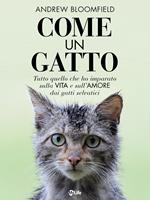 Come un gatto. Tutto quello che ho imparato sulla vita e sull'amore dai gatti selvatici