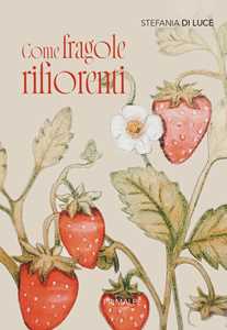 Come fragole rifiorenti