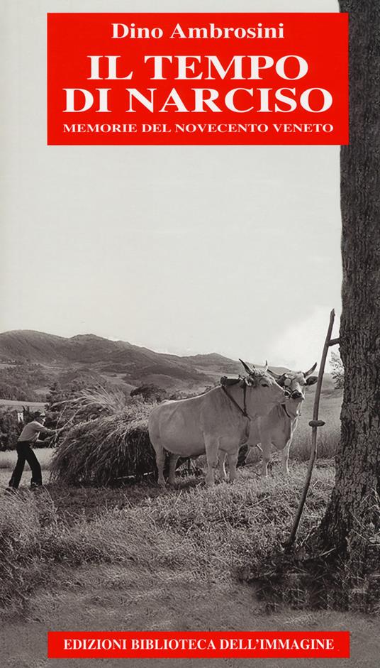 Il tempo di Narciso. Memorie del Novecento veneto - Dino Ambrosini - copertina