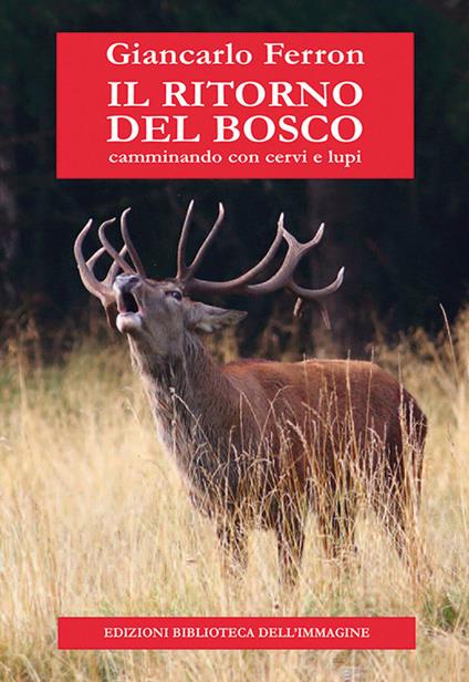 Il ritorno del bosco. Camminando con cervi e lupi - Giancarlo Ferron - copertina