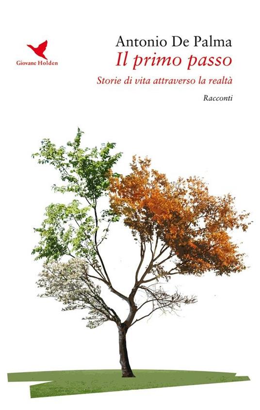 Il primo passo. Storie di vita attraverso la realtà - Antonio De Palma - ebook