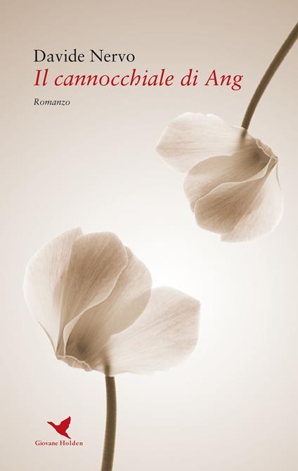 Il cannocchiale di Ang - Davide Nervo - copertina