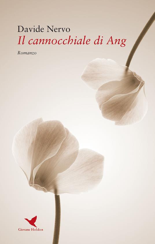 Il cannocchiale di Ang - Davide Nervo - copertina