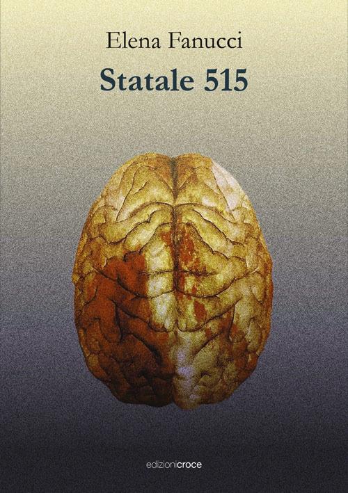 Statale 515 - Elena Fanucci - copertina