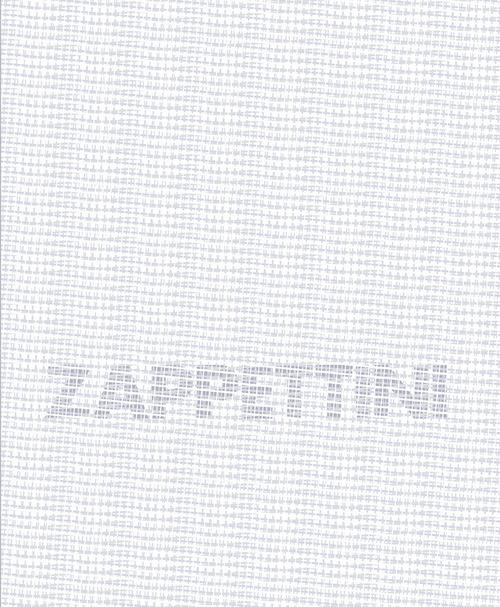 Gianfranco Zappettini. Ediz. multilingue - Alberto Fiz - copertina