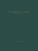 Goldschmied & Chiari. Artificial landscapes. Ediz. italiana e inglese
