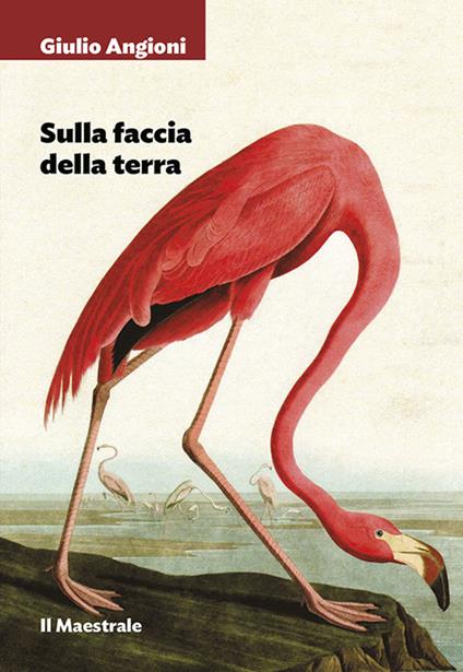 Sulla faccia della terra - Giulio Angioni - copertina