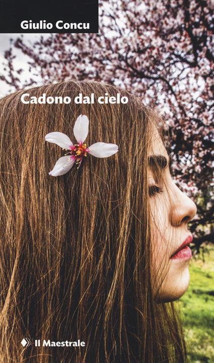 Cadono dal cielo - Giulio Concu - copertina