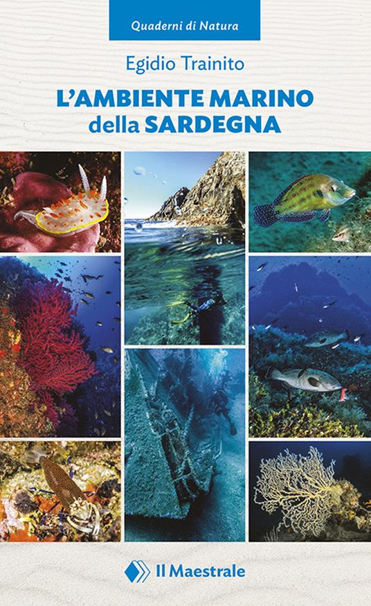 L'ambiente marino della Sardegna. Ediz. illustrata. Vol. 1 - Egidio Trainito - copertina