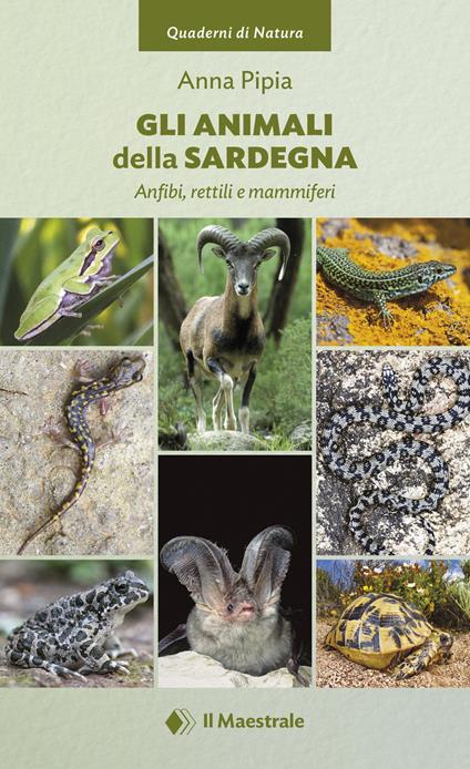 Gli animali della Sardegna. Anfibi, rettili e mammiferi - Anna Pipia - copertina