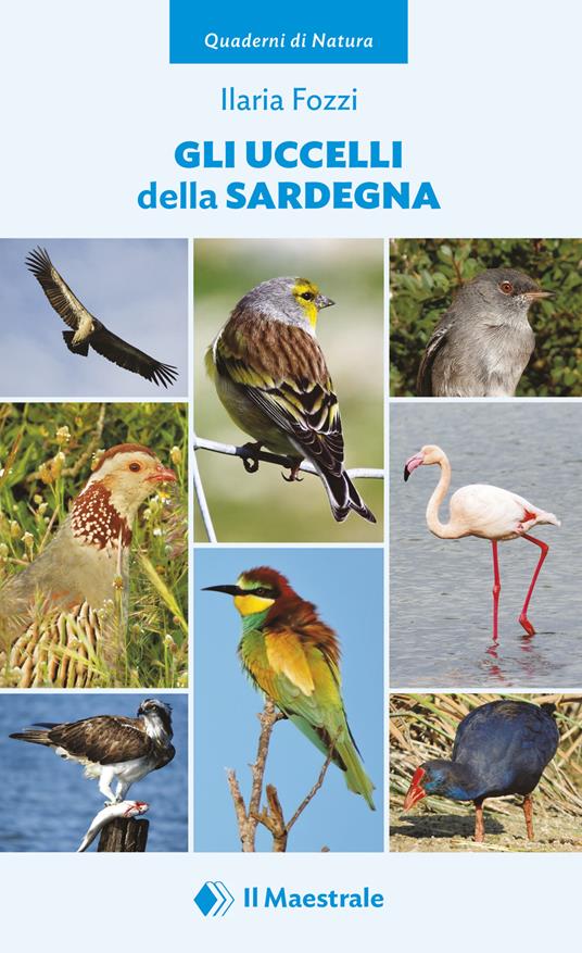 Gli uccelli della Sardegna - Ilaria Fozzi - copertina