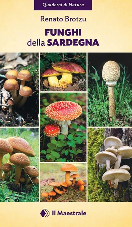 Funghi della Sardegna - Renato Brotzu - copertina