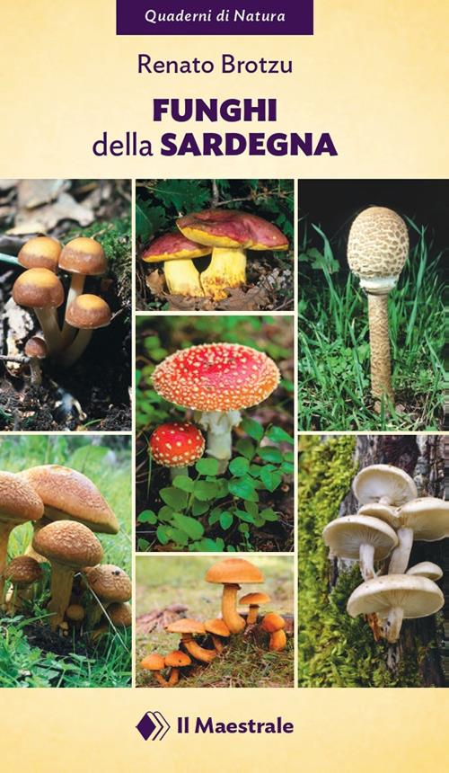 Funghi della Sardegna - Renato Brotzu - copertina