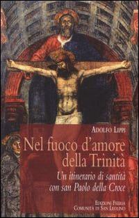 Nel fuoco d'amore della Trinità. Un itinerario di santità con san Paolo della Croce - Adolfo Lippi - copertina