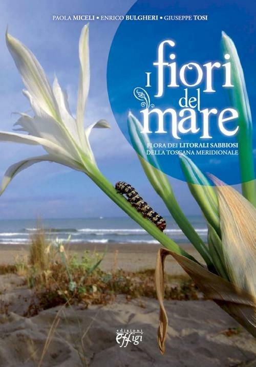 I fiori del mare. Flora dei litorali sabbiosi della Toscana meridionale - Paola Miceli,Enrico Bulgheri,Giuseppe Tosi - copertina