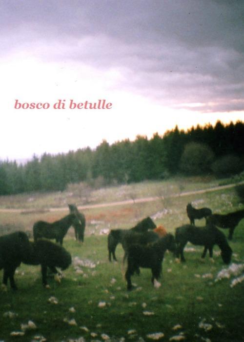 Bosco di betulle. Ediz. italiana e inglese - Francesca Lanzarini,Viola Niccolai,Silvia Rocchi - copertina