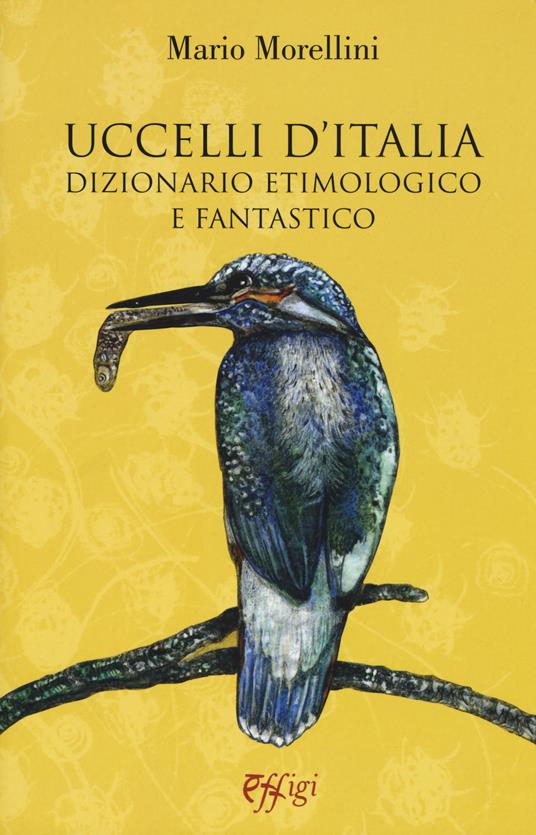 Uccelli d'Italia. Dizionario etimologico e fantastico - Mario Morellini - copertina