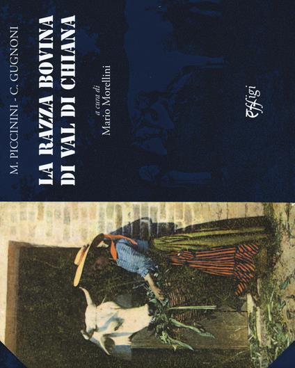 La razza bovina di Val di Chiana - M. Piccinini,C. Gugnoni - copertina