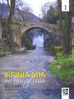 Irpinia mia meravigliosa. Ediz. illustrata. Vol. 1