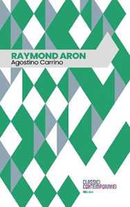 Raymond Aron-image