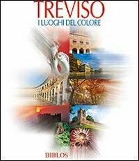 Treviso. I luoghi del colore. Ediz. multilingue - copertina