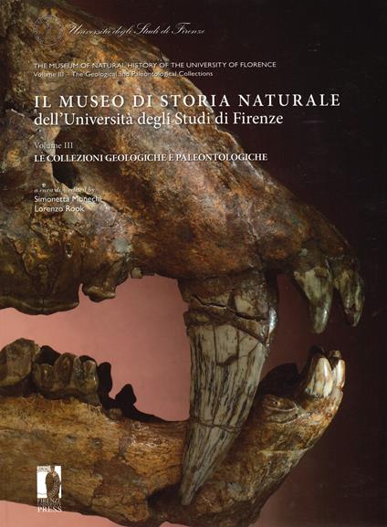 Il Museo di storia naturale dell'Università degli studi di Firenze. Le collezioni geologiche e paleontologiche. Ediz. italiana e inglese - copertina