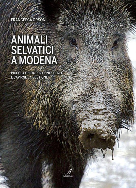 Animali selvatici a Modena. Piccola guida per conoscerli e capirne la gestione - Francesca Orsoni - copertina