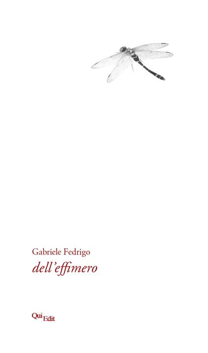 Dell'effimero - Gabriele Fedrigo - copertina