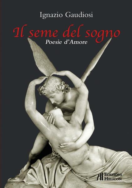 Il seme del sogno - Ignazio Gaudiosi - copertina