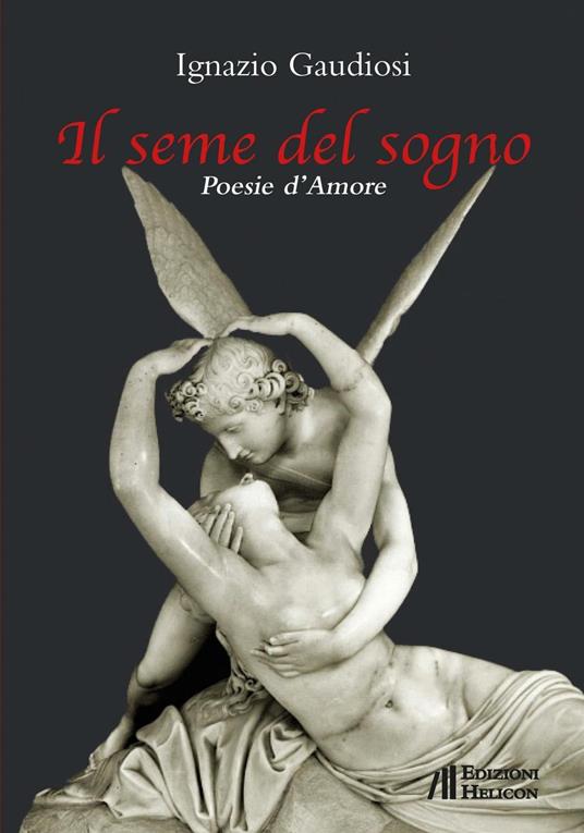 Il seme del sogno - Ignazio Gaudiosi - copertina