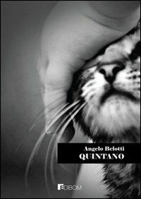 Quintano 11 - Angelo Belotti - copertina