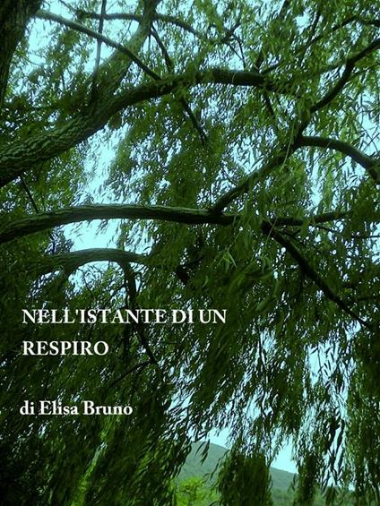 Nell'istante di un respiro - Elisa Bruno - copertina