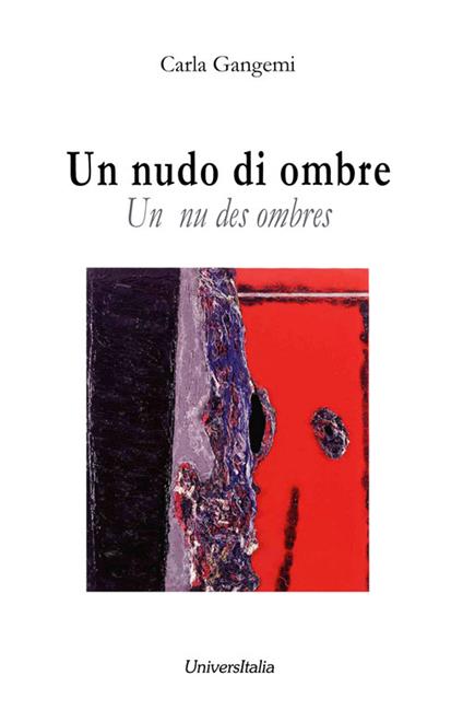 Un nudo di ombre (Un nu des ombres) - Carla Gangemi - copertina