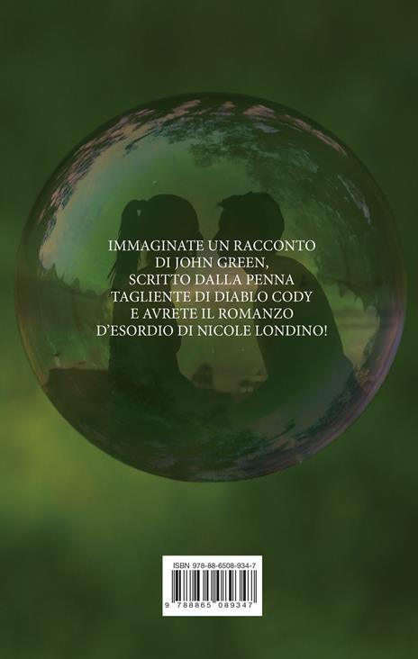 Un sasso in una bolla - Nicole Londino - 2