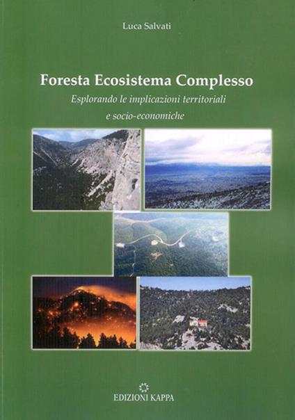 Foresta ecosistema complesso. Esplorando le implicazioni territoriali e socio-economiche - Luca Salvati - copertina