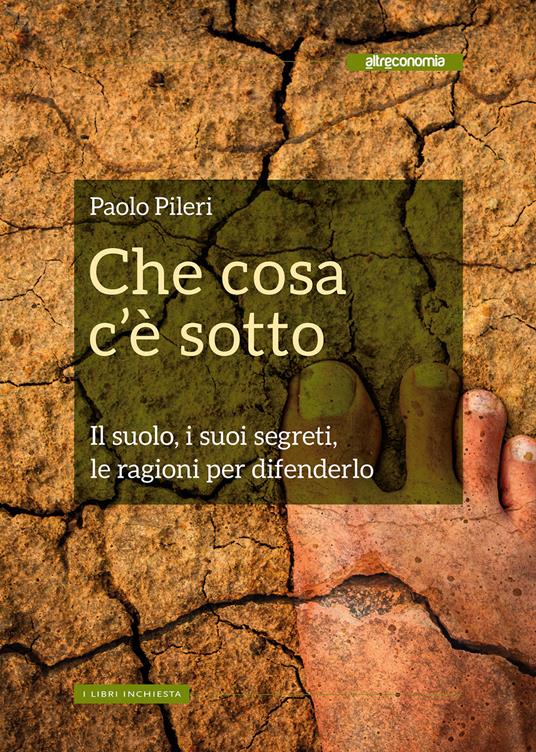 Che cosa c'è sotto. Il suolo, i suoi segreti, le ragioni per difenderlo - Gianni Biondillo,Paolo Pileri - ebook