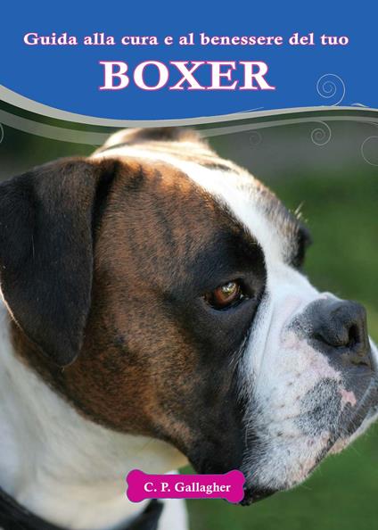 Boxer - C. P. Gallagher - copertina