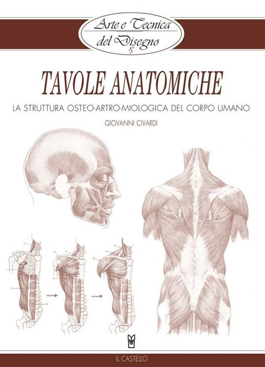 Arte e Tecnica del Disegno - 15 - Tavole anatomiche - Giovanni Civardi - ebook
