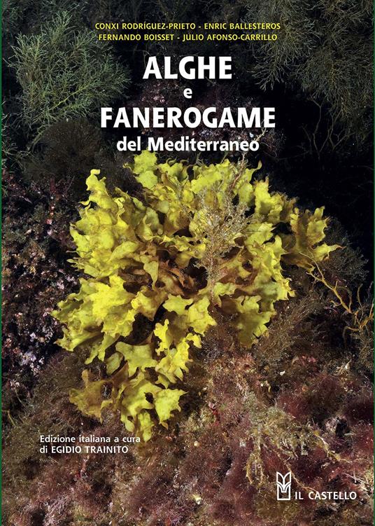 Alghe e fanerogame del Mediterraneo - copertina