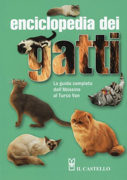 Enciclopedia dei gatti. La guida completa dall'Abissino al Turco Van - Angela Rixon - copertina