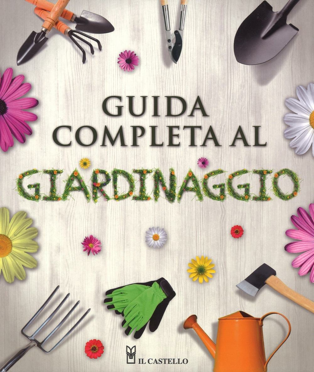 Libraccio